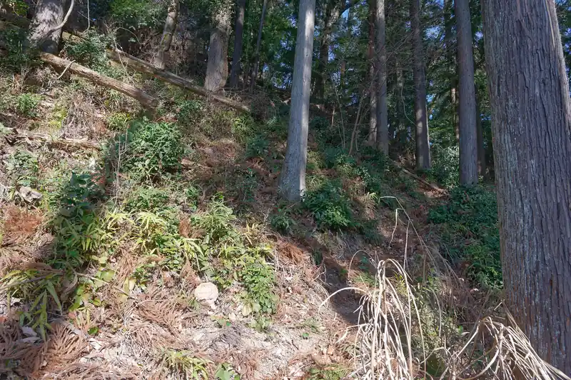 下った先で尾根のどん詰まりでした。

これはどうするんだろう…？と考えていると、斜面に道があるような気がしないでもありません。
で、試しに下ってみると道でした。
途中、落ち葉が堆積していて地面が見えず、なかなか不安定。
ヒヤヒヤしながら進みます。
