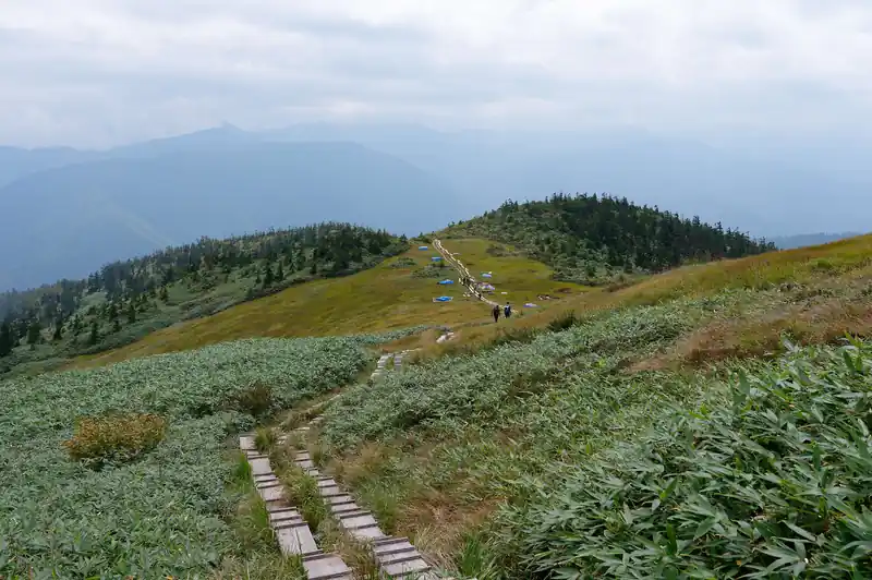 復路は駒の家によらず、一気に駒ヶ岳登山口まで下山する。

登ってきた道をピストンで戻るだけ、ということもあるが、この道は本当に特筆すべき点がないくらいよく整備された道なので、写真はなし。
