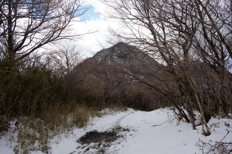 金時山がだいぶ近い。
崖みたいな斜面だけど、本当に大丈夫なんだろうか？と不安になる。まあ最悪引き返して下山すればいいか～と楽観的。
というか、降りてきた人がいるから、登れるんだろう。
