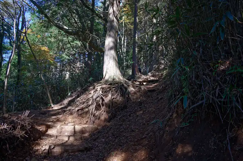 歩きやすい登山道を歩いて高度を稼いでいく。