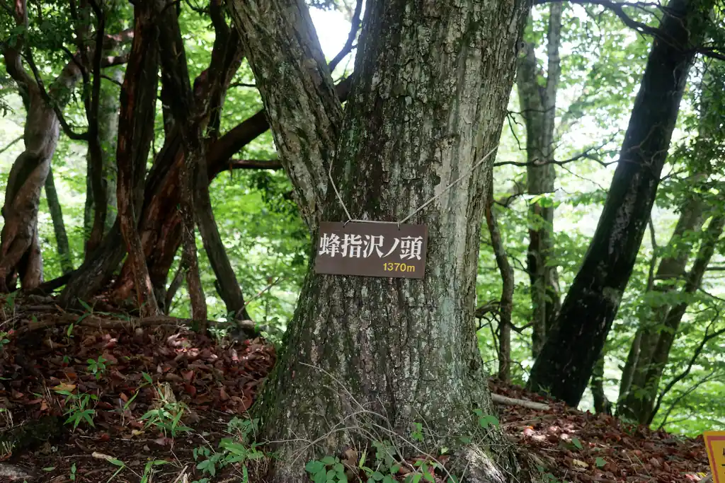 少し進むと都民の森終了地点につきます。