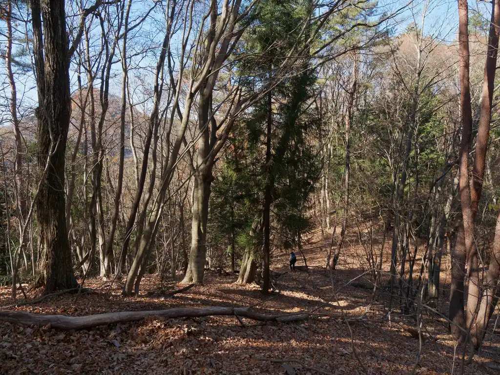 鞍部はなだらかで歩きやすい道が続く。
気持ちいい登山道だった。
百蔵山と扇山をセットで歩く人は、そこそこいるみたいで数人の登山者とすれ違った。