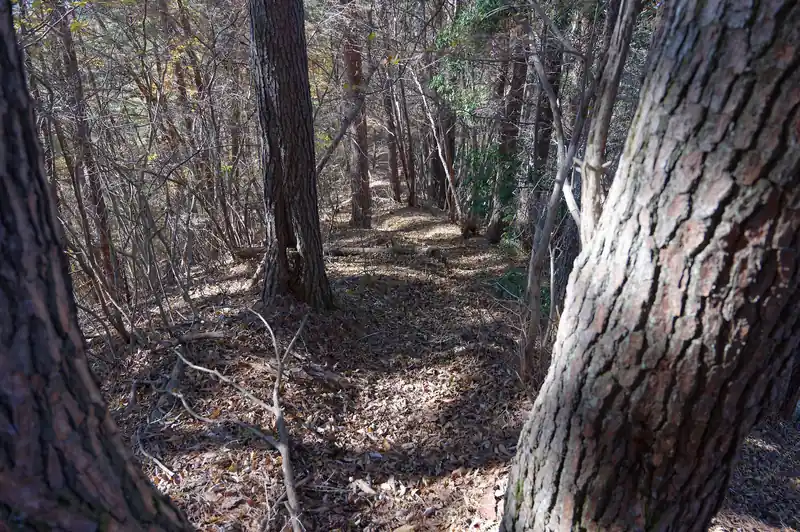 一般登山道にしては人の気配を感じない道だな…と思っていたんですが、ちょうどソロの男性登山者が登ってきてすれ違いました。