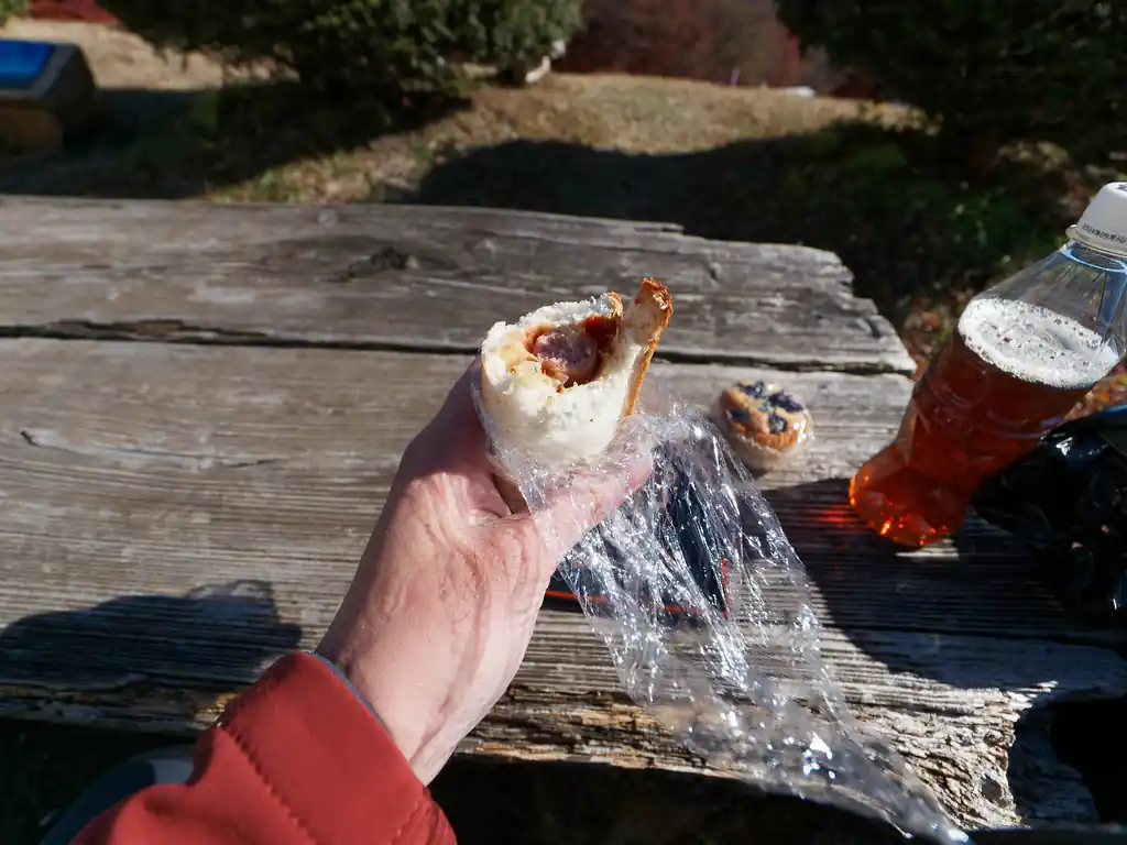焼サンドは素朴な味。中にはザワークラウト？のようなキャベツとウインナーが入っていた。うまいぞ！