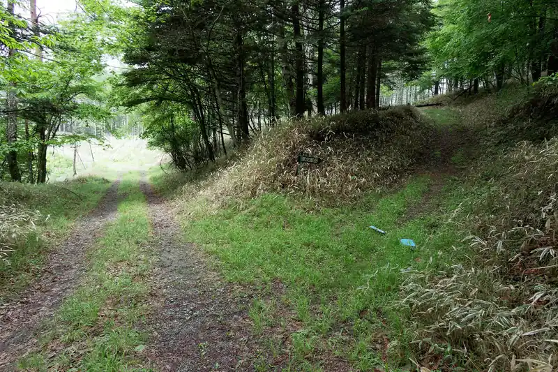 ここで分岐、源次郎岳への道標が見えます。