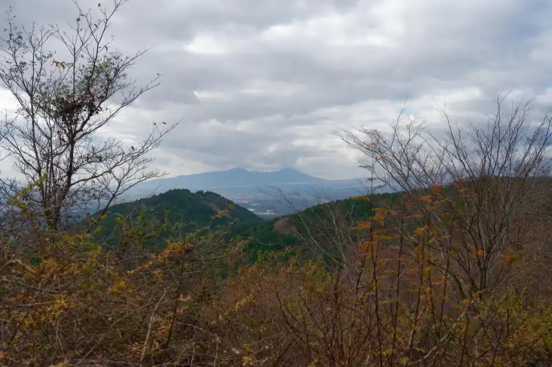 奥に見えるのは愛鷹山。