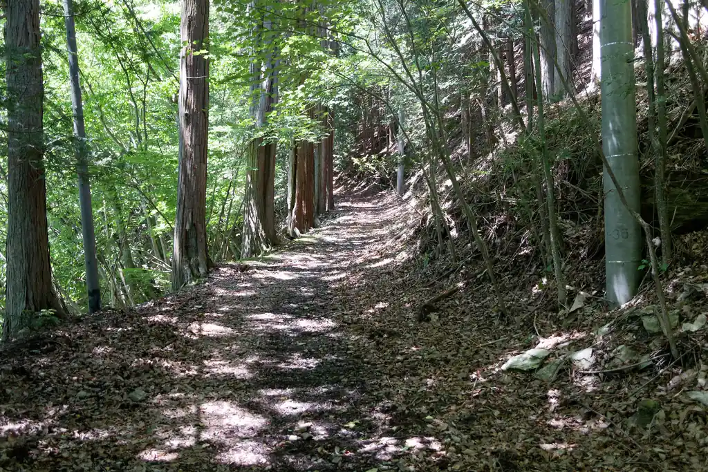 廃車跡からはしばし幅の広い道を歩いていきます。