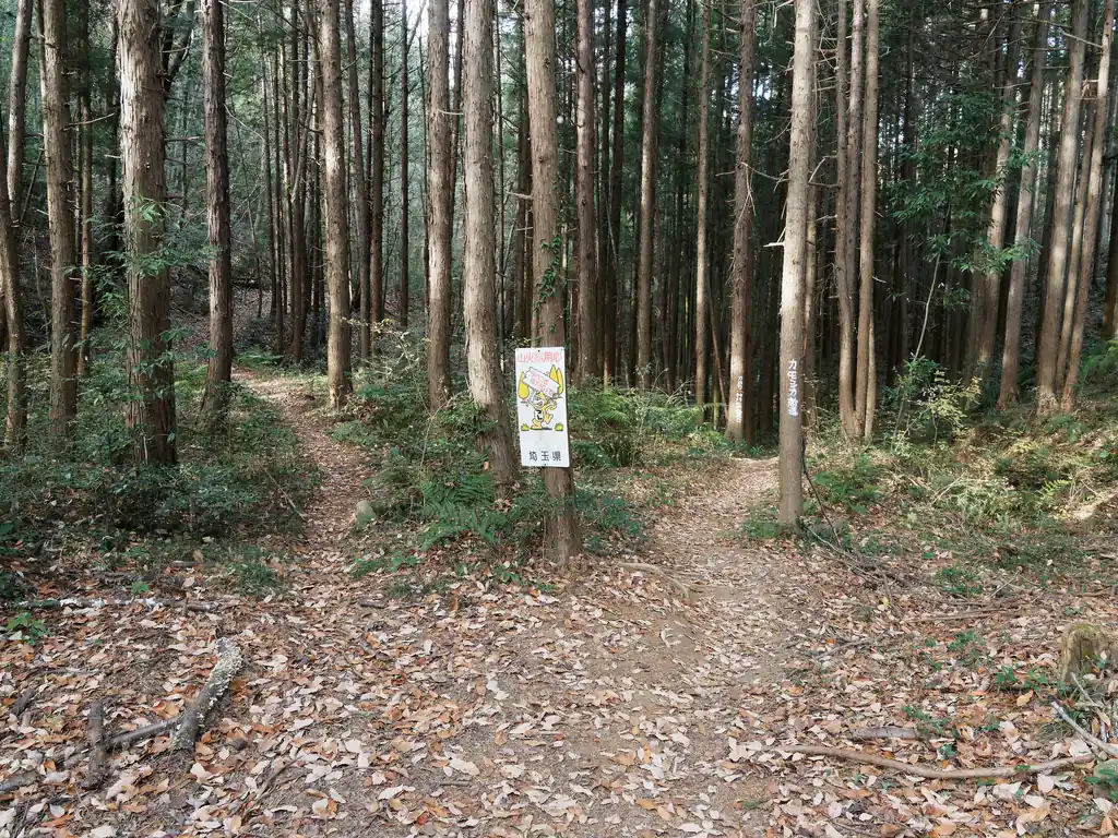 右側のカモシカ新道は以前歩いたことがある。柏木山に行くなら、カモシカ新道もなかなかいい。
左側の道はよくわからない。