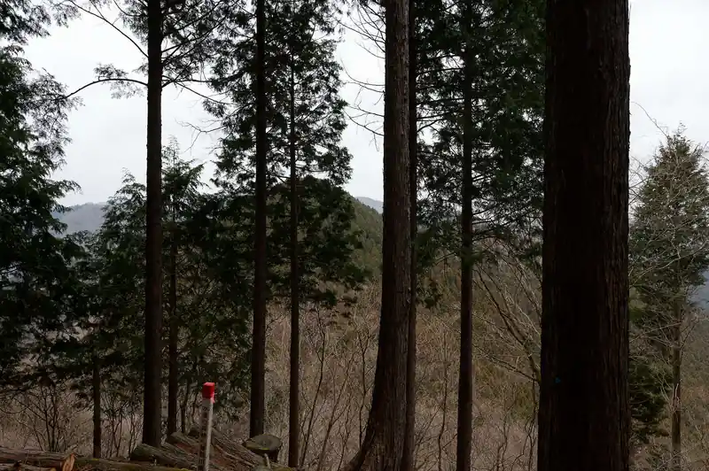 ここから一気に下ったあと、あの山に登り返すはず…。
おそらく目の前のピークが西ヶ尾のはずです。