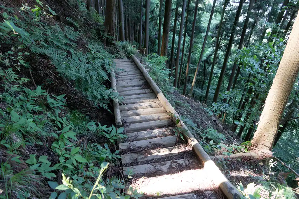 登山道が崩落したのか、代わりに木橋がかかっていました。かなりしっかりとしていて問題なかった。