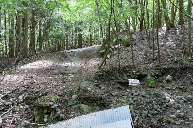 どうやら渡って進むのが正解の模様。