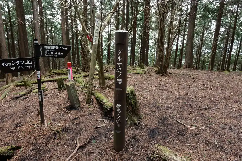 なんとか登りきってダルマ沢ノ頭。おそらく本日の最高標高となる標高880m地点です。