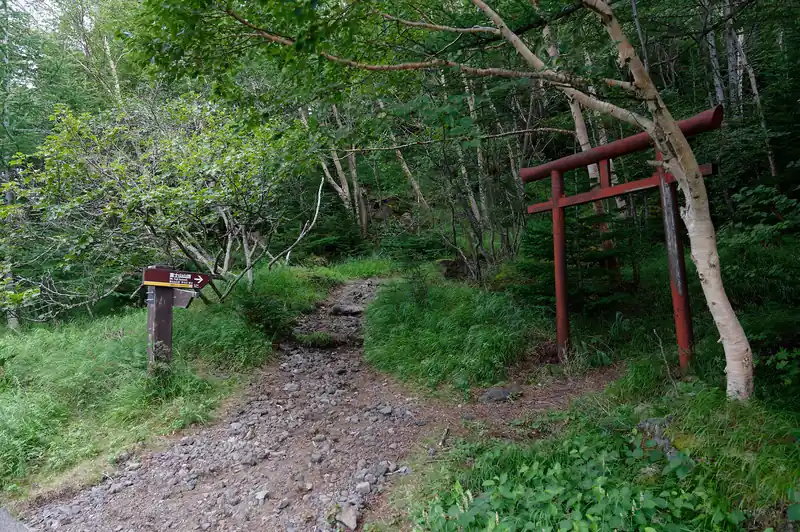 また登山道へ。