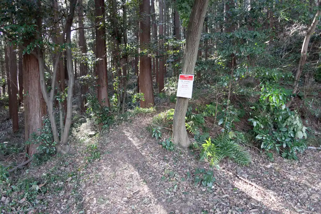 途中謎の分岐があり、歩いてみたところ、資材置き場か何かの跡地に出ました。地図を見た感じ、この下の写真の右の道を歩いて行けば駅まで行けるんですが遠回りになるので引き返しました。

なお、左の道は藪がひどく、行き止まり。
