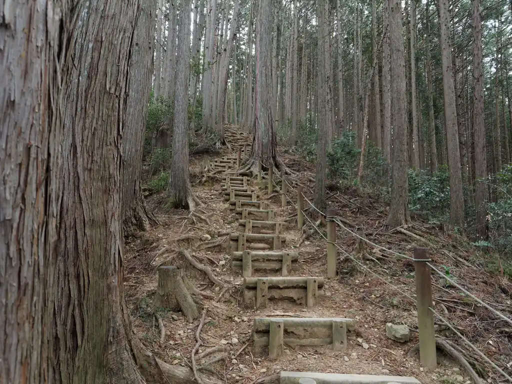 また階段。既に足の疲労が…。