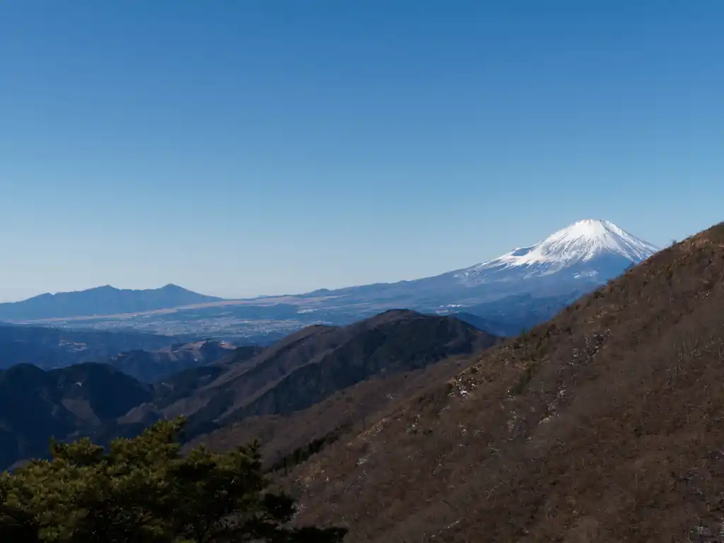 もう何も言うまい。
とにかくこの日の塔ノ岳は最高だった、以上である。