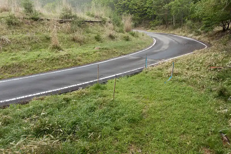 その後、山道が終わって林道に出てきました。