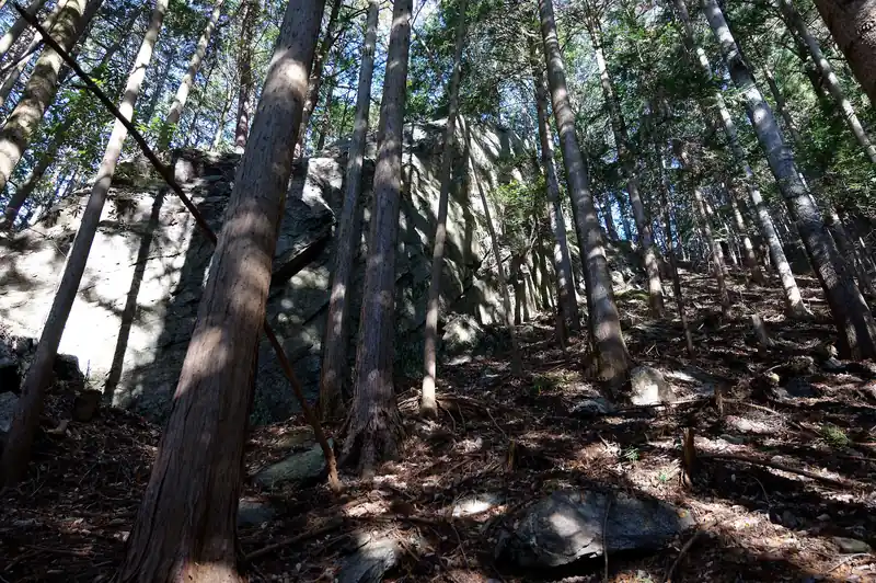 奥武蔵登山詳細図に書いてあった大岩がこれかな。
岩を避けて登っていくのと舎ノ峯（こやのみね）なんですが、今回は寄りません。