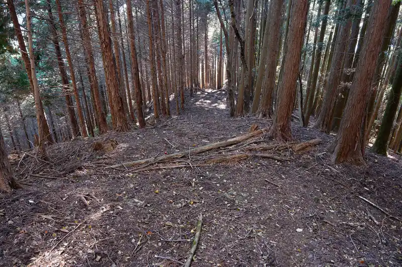 振り返って、ここは下りだと間違えて直進しそうだけど、正解は右に折れる。
木が積んであるので間違えることはないかな？