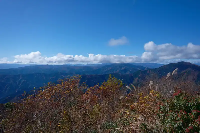 少し草が邪魔ですが、御前山から伸びる湯久保尾根も見えます。
湯久保尾根もそのうち歩きに行きたいんですが…。こうしてみる限りだいぶなだらかな尾根のようです。