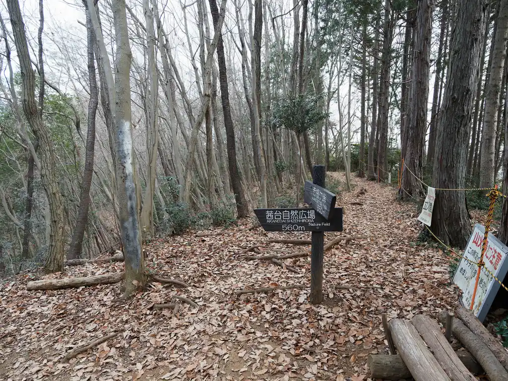 下山は多峯主山方面へ下山する。前回はジャンダルム尾根コースだったので、工業団地に最も近い100年ナラ尾根ルートを歩くことにする。