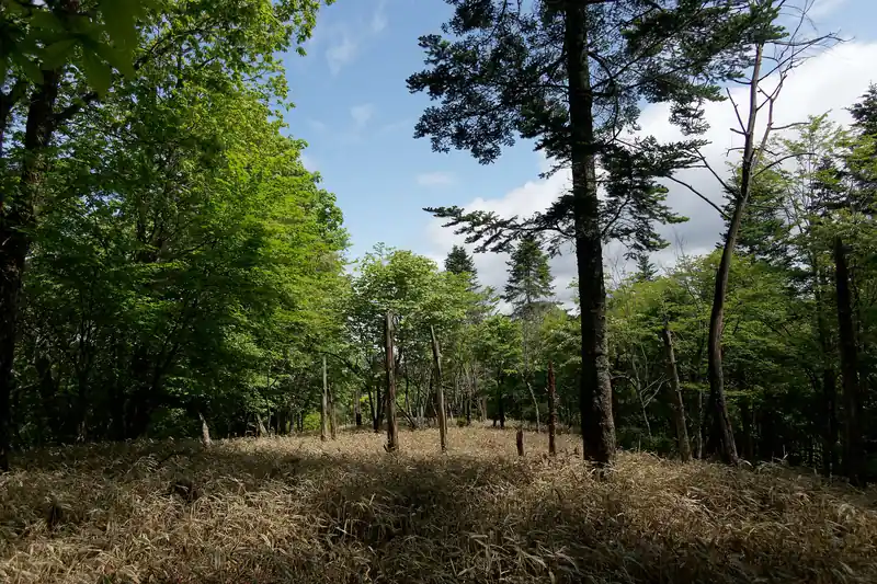 ずっとガスってたり曇りだったんですが、ここにきて青空が見え始めました。