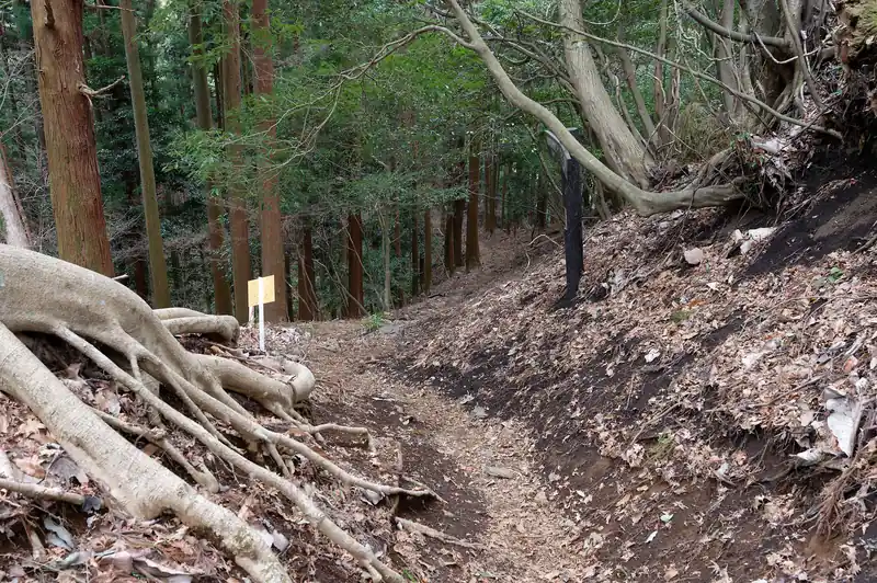 とりあえず下山するか、と先へ進みます。ここから先は歩きやすい登山道です。