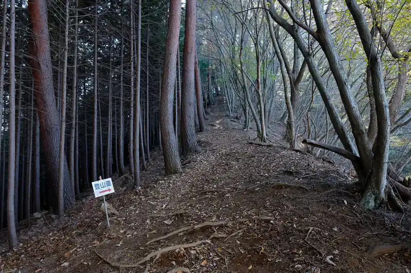 ここから九鬼山まで、もう一個岩場があるはずなんですが…。