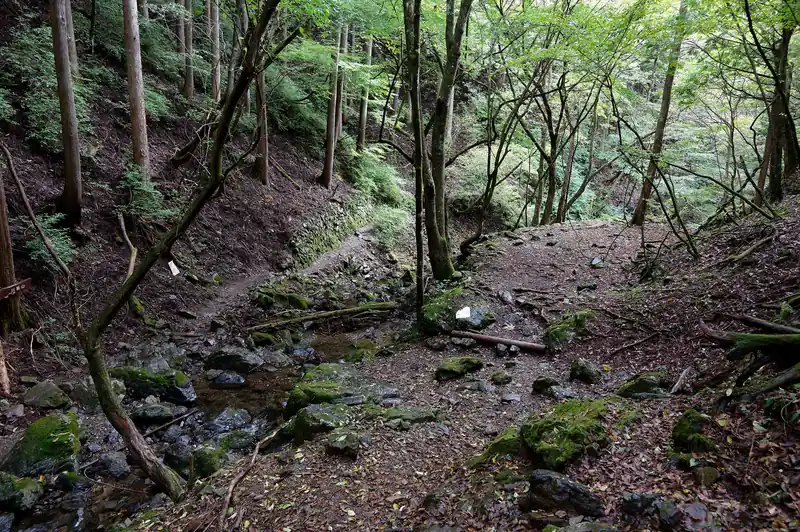 ここまで来ればあとは緩やかに川苔山まで登るだけ。
もう危ない場所はない。