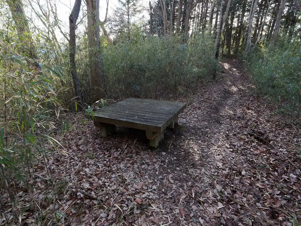 とベンチ。このベンチ、丹沢で見る対ヒル仕様のベンチに見えますが、やっぱりこのあたりもヒルが出るんだろうか？