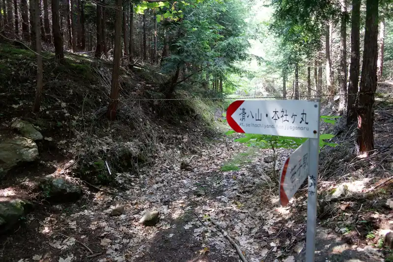 道なりに進んでいくと、そのまま進んでいけそうな道にロープが張ってありました。
どうやら今まで歩いていた道は林業用の作業道かなにからしい。