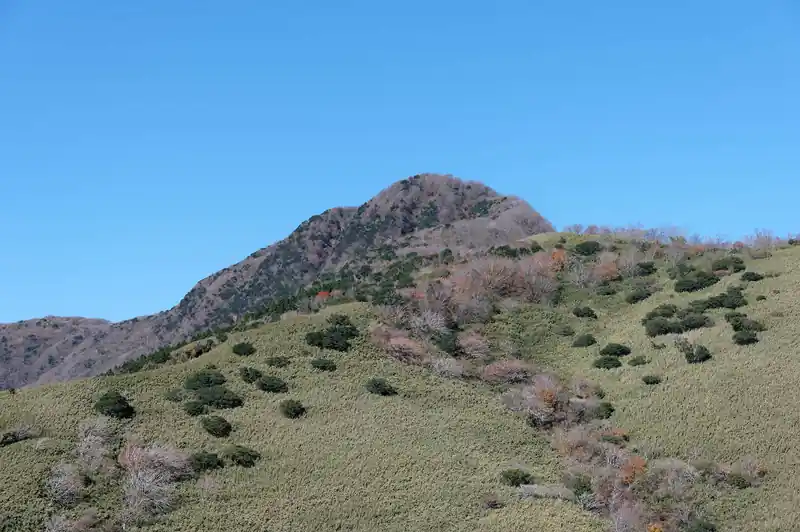 中央の山が金時山。