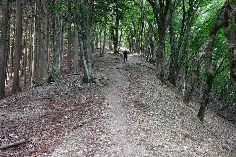 ここから大持山へ登っていきます。序盤はまだ良いんですが…