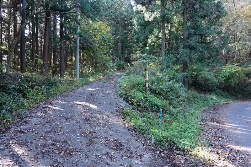舗装路まで戻ってきて、雨乞山へはここを歩いていきます。
雨乞山はパラグライダーの発進場になっているため、機材運搬のために道が整備されているものと思われます。