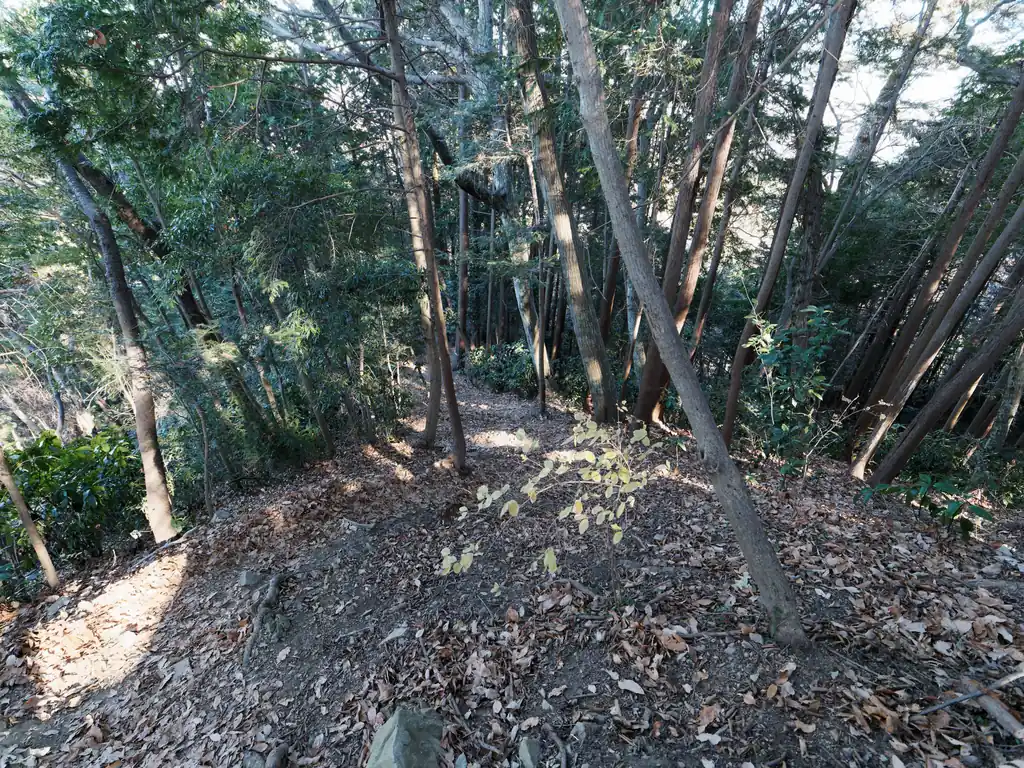 昼食を食べて写真を撮り終えたら八王子城址へ向かう。
先ほどの分岐に戻り、八王子城址方面へ坂を下っていく。