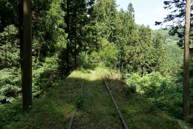 反対側はヤブっぽく、果たして歩けるのかどうか…。

廃線見学を終えて、山道に戻っていると、先程のおじいさんと遭遇。
おじいさん曰く、ここはよく何かの撮影をやっているのを目撃するとのこと。

おじいさんは、子供の頃は近くの部落に住んでおり、当時はこの水根貨物線も機関車が走っていたらしい。
機関車に飛び乗って遊んでいたらしいが、当然危ないので怒られたとか。