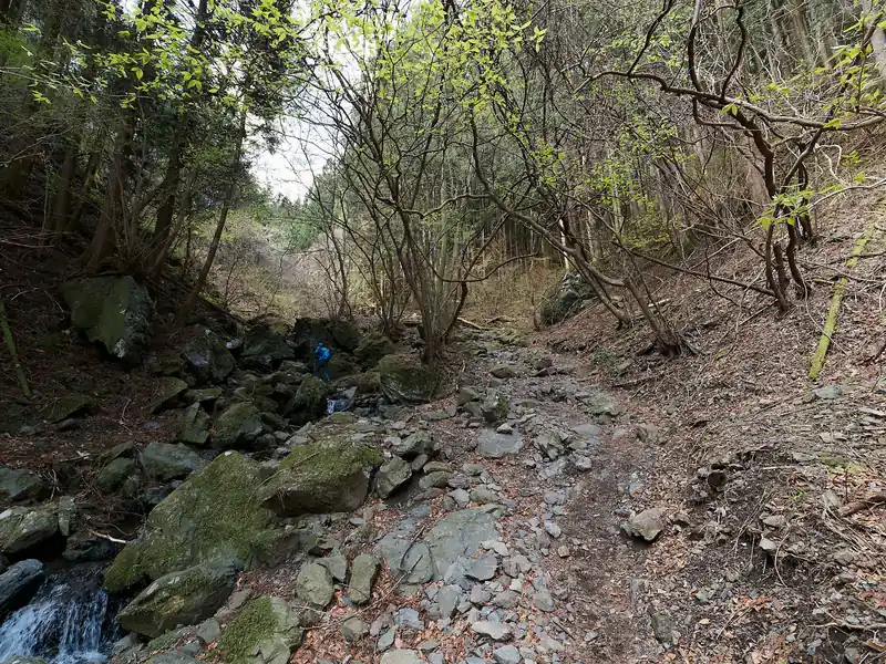 核心部を抜けると再び沢の横の登山道を歩いていく。