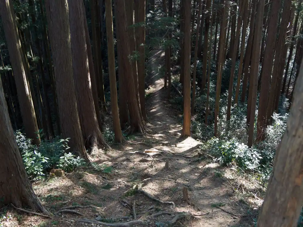 ここから先はしばらくアップダウンの厳しい道を歩いていきます。