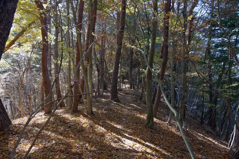 そのまま尾根道を進みます。