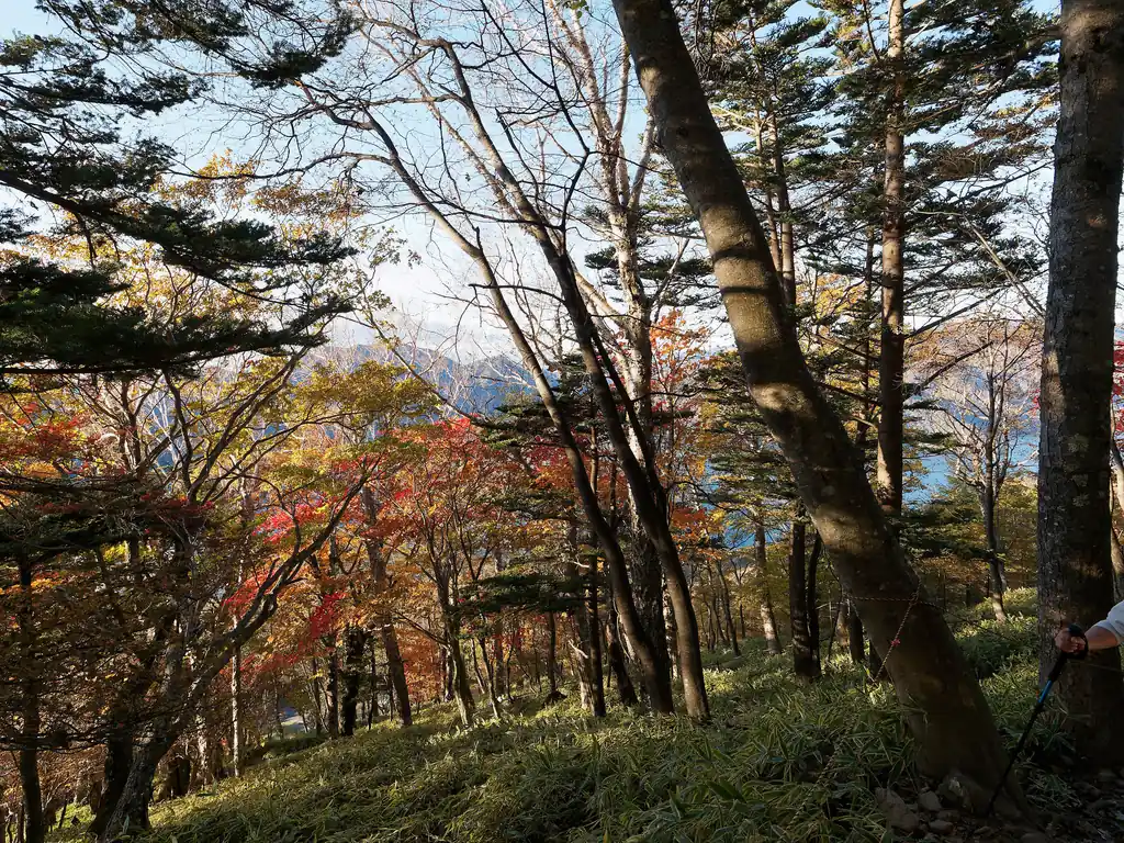 微妙に中禅寺湖が見えませんが、紅葉した木々が美しいです。