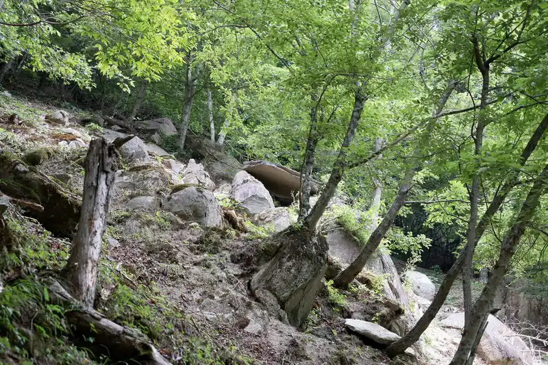 そのまま歩いて行くと、山側に岩が密集している地帯へ。
よく見ると岩の上に水平な岩が乗っています。自然にあんな風に岩が乗ることあるんだろうか？不思議ですねえ。
登っていってどんな様子か見てみようと思ったんですが、かなりの急斜面だったのでやめました。