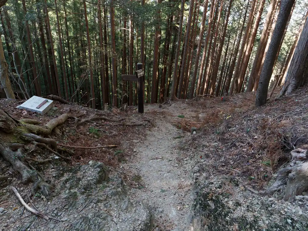 こっちが子殿バス停へ続く道。