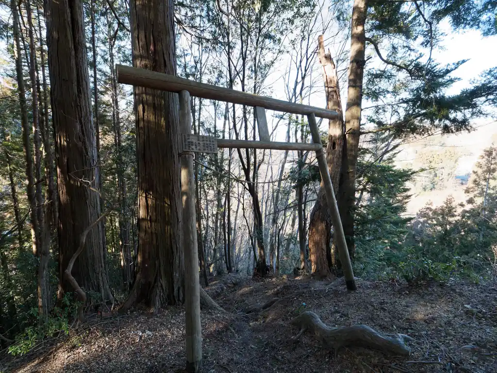 山頂には鳥居。