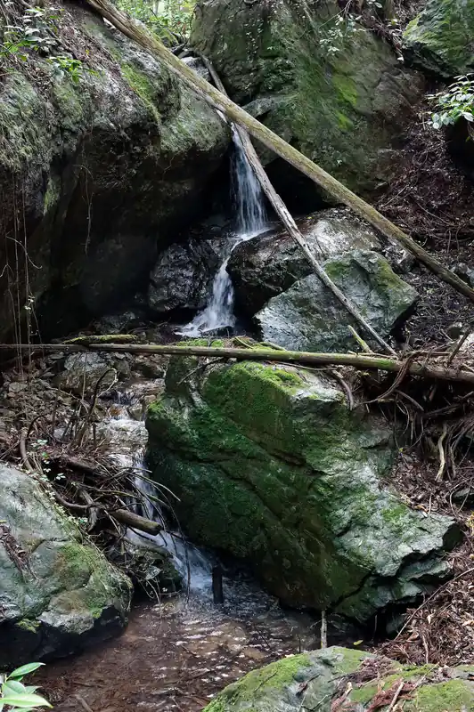 奥に小滝があるものの、沢に降りるのは危ない気がしたので、沢には降りず脇から小滝の写真を撮る。