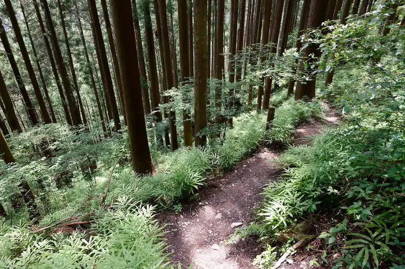 尾根を進んだところで左側に下っていきます。九十九折の道で歩きやすいですが、距離が若干眺めでとにかく疲れる。