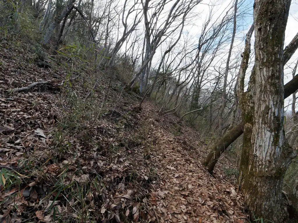 ベンチのあった休憩所から先は少し登山道の雰囲気が変わって若干険しくなる。
といっても今までは見るからによく踏まれた広い登山道だったのが、少し狭くなった、くらいのもんだが。