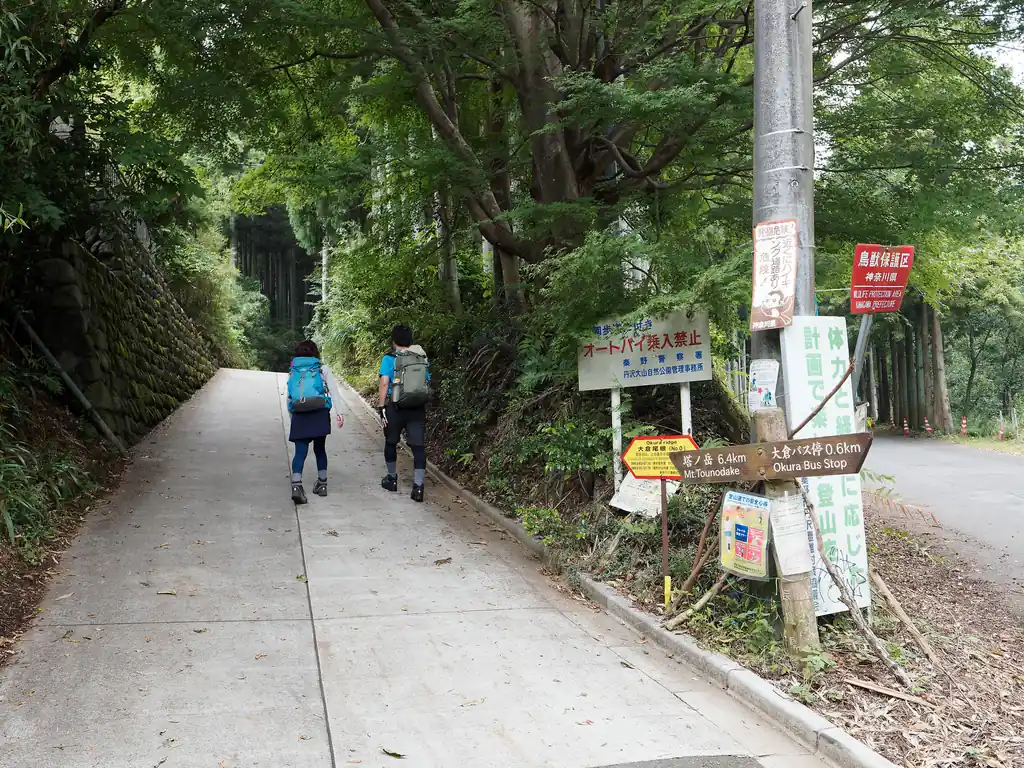 しばしアスファルトを歩いていくと塔ノ岳の道標。