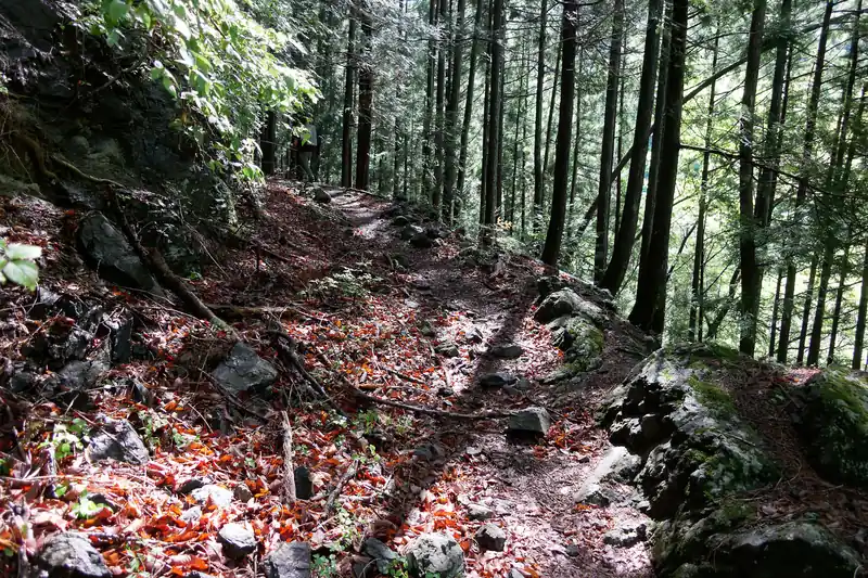 ショートカット道は歩きやすい山道。
