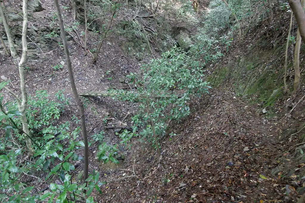 嵐山からの下山は相模湖プレジャーフォレスト方面へ下ることにする。
この道は地味に長く、アップダウンのある登山道で、全体的に道は細く、いくつか橋桁のない木橋を渡る。
この木橋がたわんで地味に怖いのだが、私が歩いたときは橋が折れることはなかった（そりゃそうだ）。