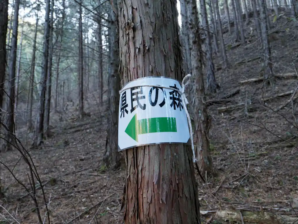 結構新し目に見えるんだよなあ。
ってことは、一般登山道として管理されている、ということか。